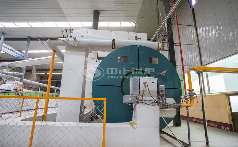 4噸撬裝燃?xì)庹羝仩t客戶案例圖片