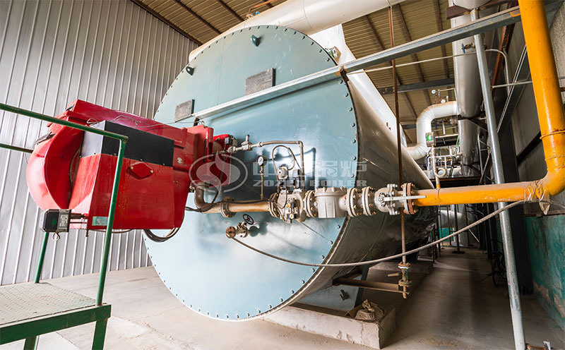 15噸低氮燃?xì)忮仩t客戶案例圖片