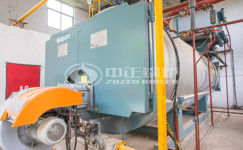 8噸燃?xì)忮仩t價格客戶案例圖片