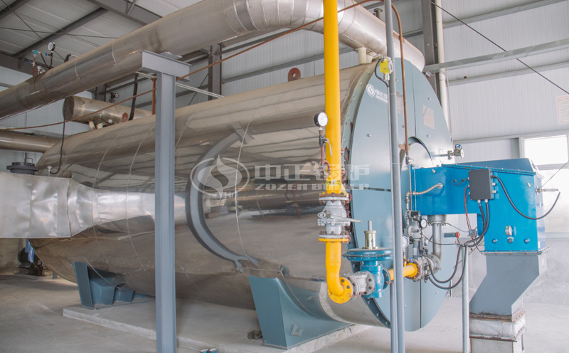 生物質(zhì)燃料鍋爐多少錢(qián)客戶(hù)案例圖片