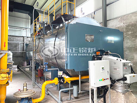 8噸燃?xì)庹羝仩t