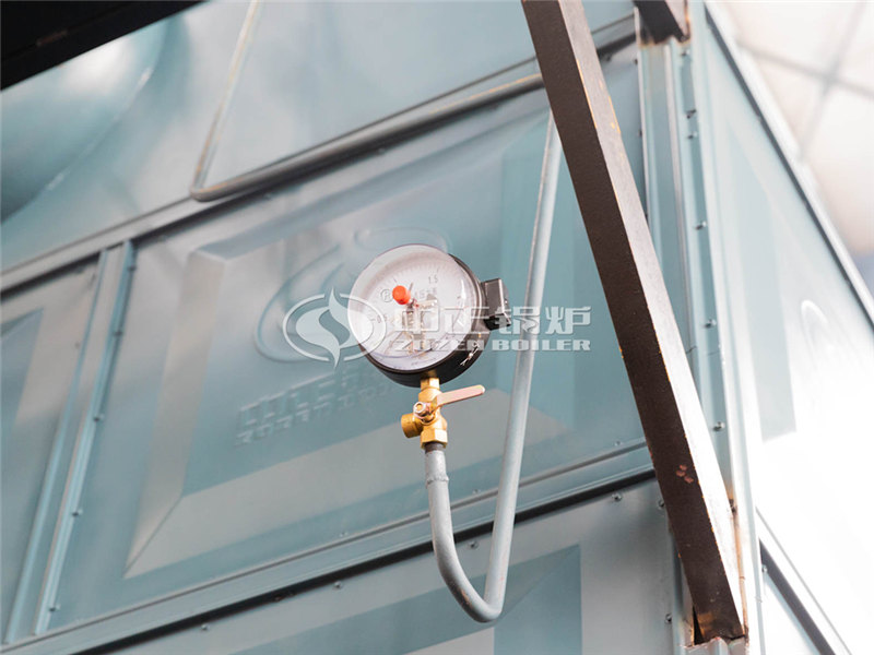 大型燃?xì)庹羝仩t供應(yīng)