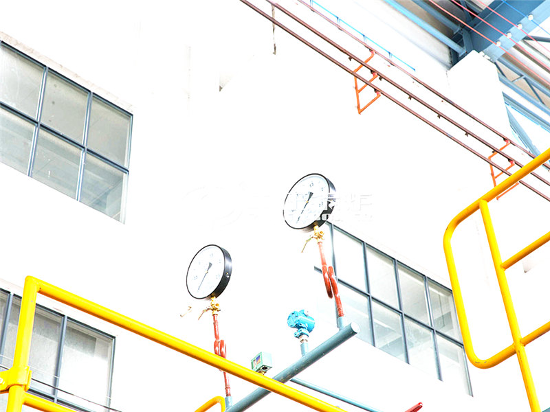 燃?xì)鈱?dǎo)熱油鍋爐哪里有賣(mài)前景怎么樣