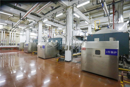 一臺(tái)八噸燃?xì)庹羝仩t低多少錢(qián)